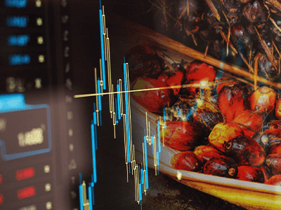 Palm Olein Contract Unveiled on Bursa