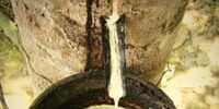 Bright Outlook for Malaysian Rubber Industry Bright Outlook for Malaysian Rubber Industry