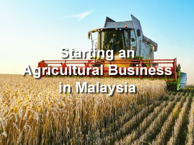 Starting an Agricultural Business in Malaysia