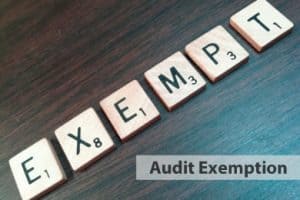 Malaysia Company Audit Exemption